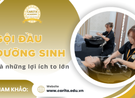 Gội đầu dưỡng sinh chuẩn spa và lợi ích từ mô hình này – Carita Academy