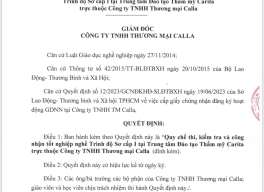 QUY CHẾ THI CARITA ACADEMY