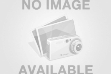 NGUYÊN NHÂN GÂY TIÊU CHẢY VÀ TRIỆU CHỨNG