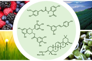 NHỮNG DƯỠNG CHẤT CHỐNG OXY HÓA NGĂN NGỪA BỆNH TẬT, CHỐNG LÃO HÓA, ĐẸP 