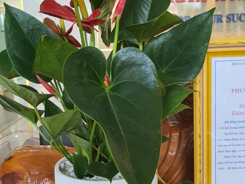 Ngày 01/06/2024 Trung tâm Đào tạo Thẩm mỹ Carita đồng hành tặng quà các em học sinh hiếu học học Phường Tân Chánh Hiệp, Quận 12, TPHCM