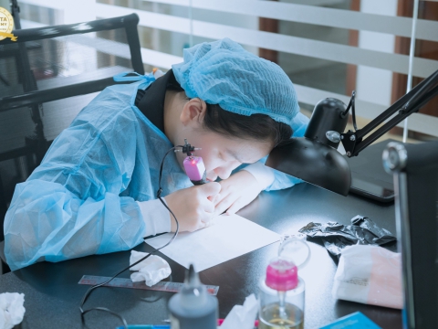 Kì Thi Sơ Cấp Nghề Ngày 31/5/2024