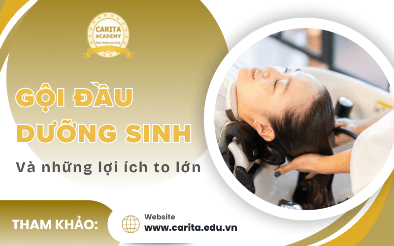 gội đầu dưỡng sinh