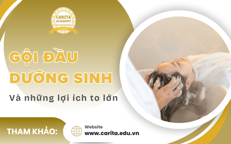 gội đầu dưỡng sinh