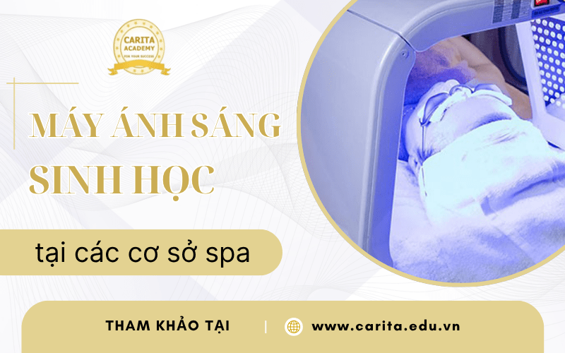 máy ánh sáng sinh học