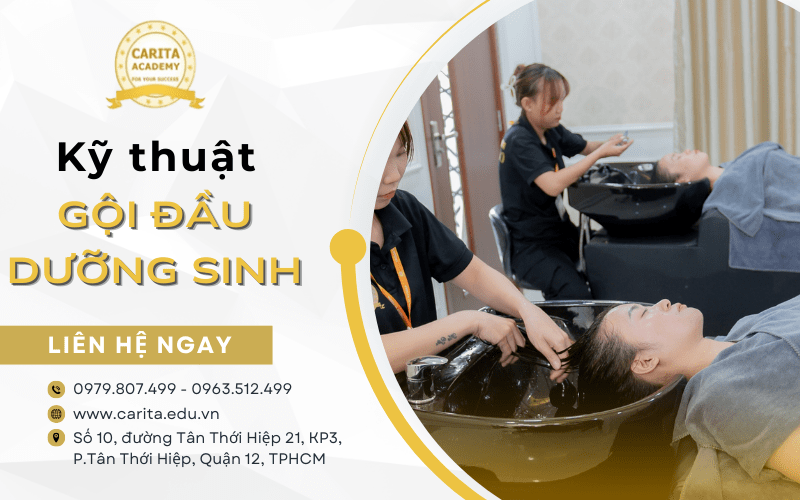 gội đầu dưỡng sinh